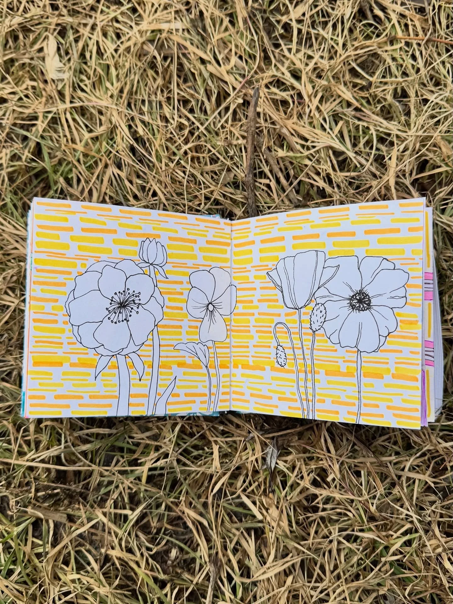 Doodles from my mini sketchbook. No real thought to the images. Just letting the marks get on the page. 

Big fan of this sketchbook from @michaelsstores because you can take it anywhere with the convenience of the size. 

I&rsquo;ve been trying to c