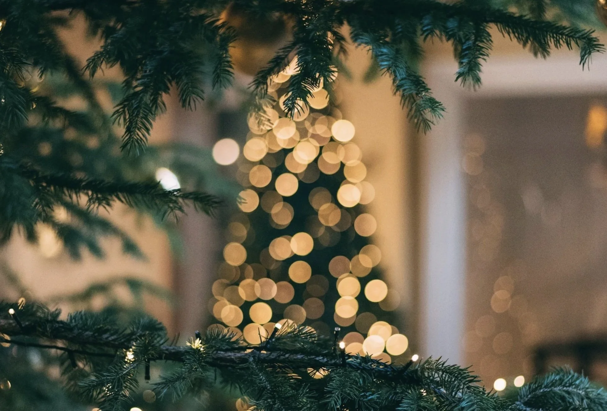 Vocal Reset for the Holidays: Proven Ways to Recharge Your Voice and Mind