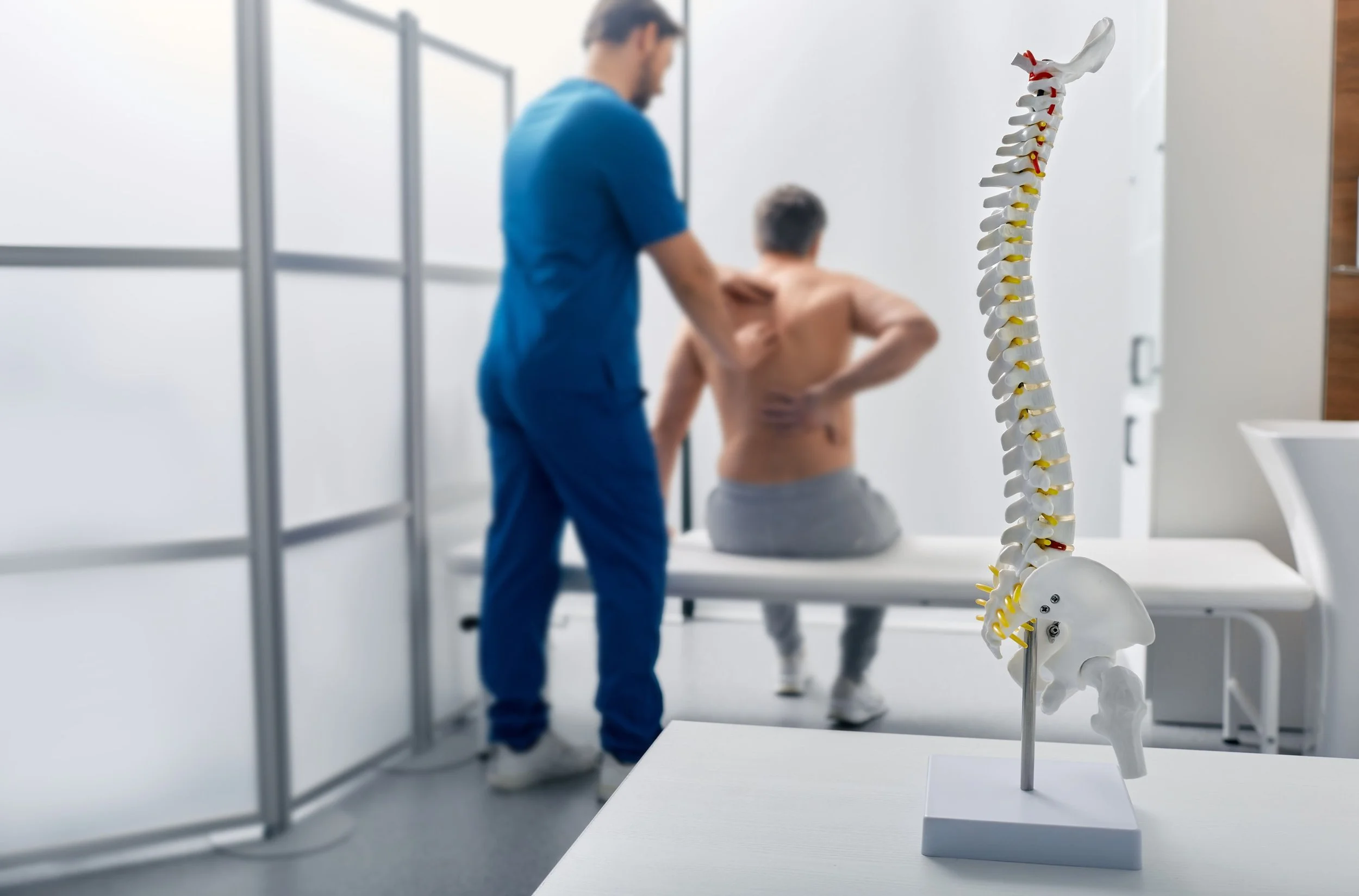 Medical professional examing a male patient's back in a clinical setting with a spine model on the table.