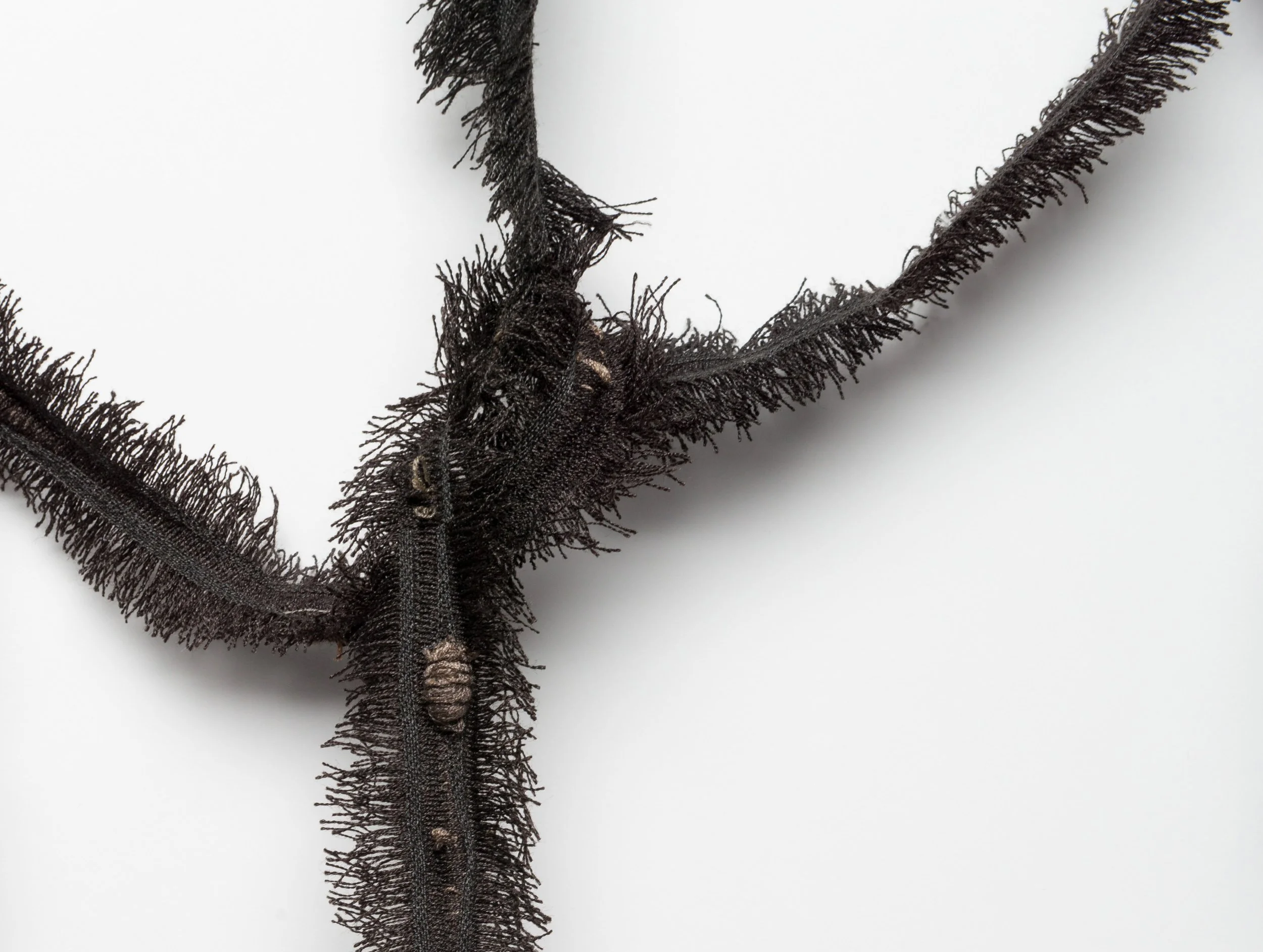 Old Growths detail 2.jpg
