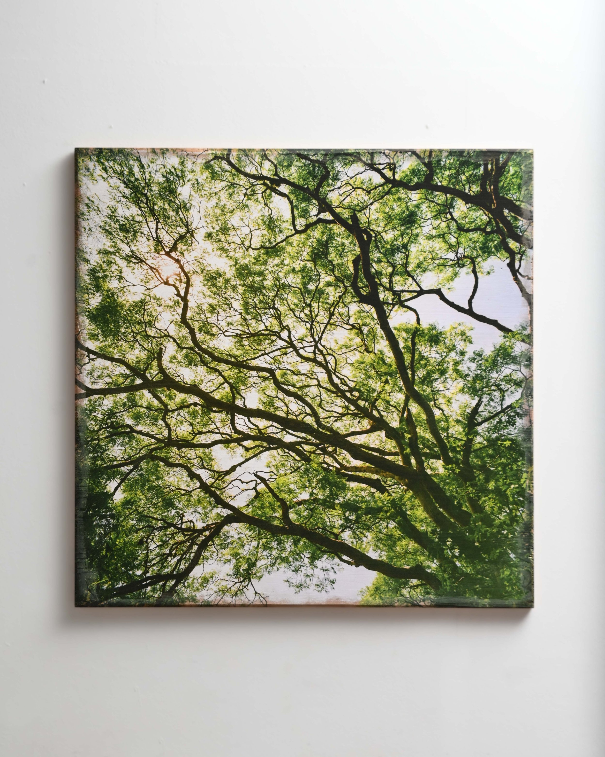 Caretaker - 80 x 80 cm on Wood