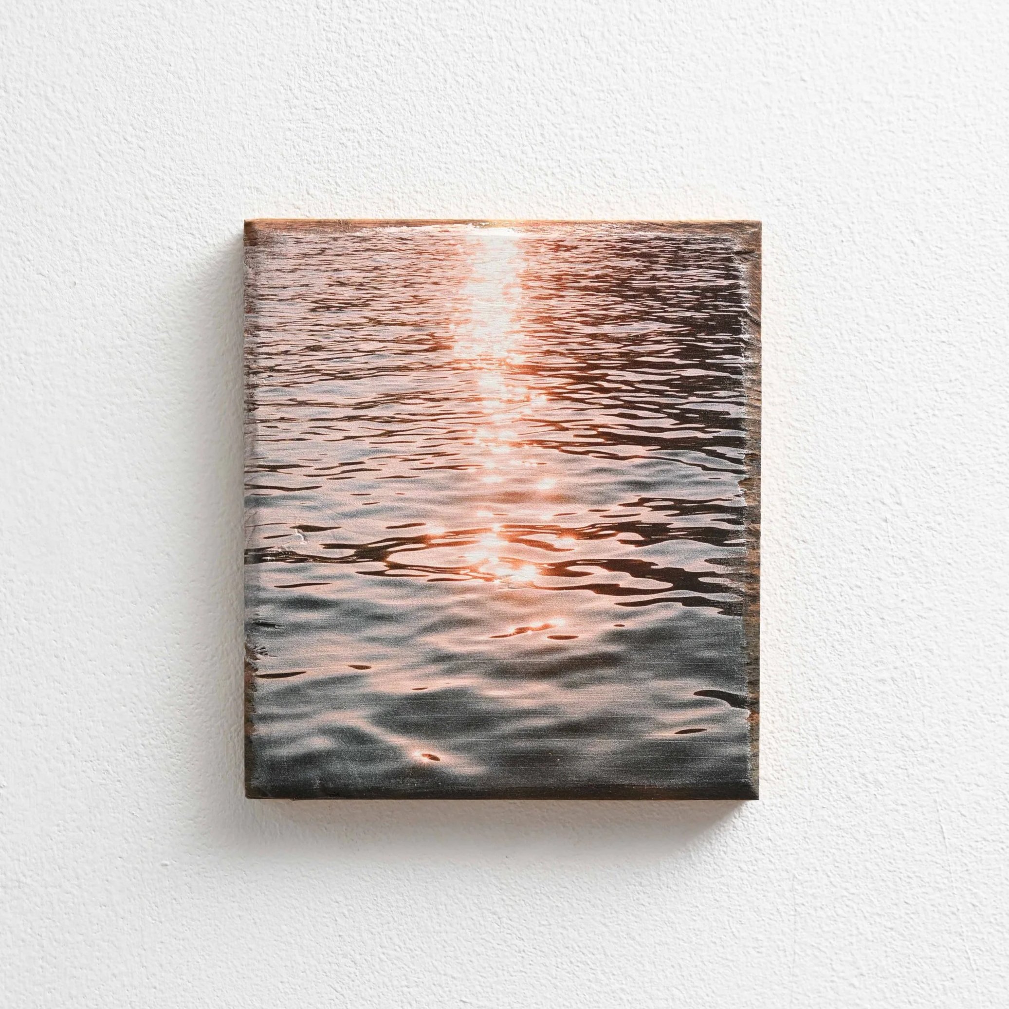 18x20-Transience.jpg
