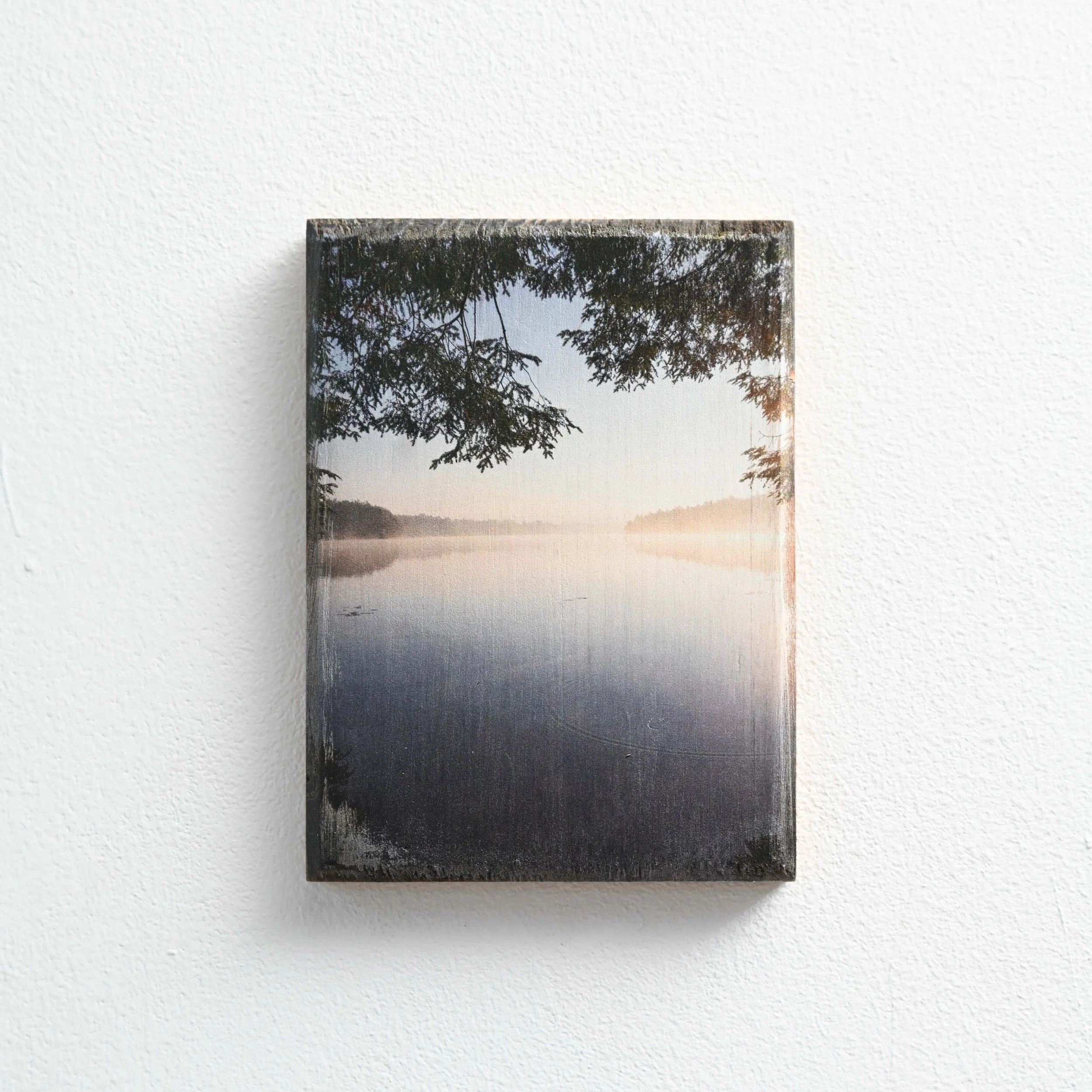 Various Works - 15 x 20 cm on Wood