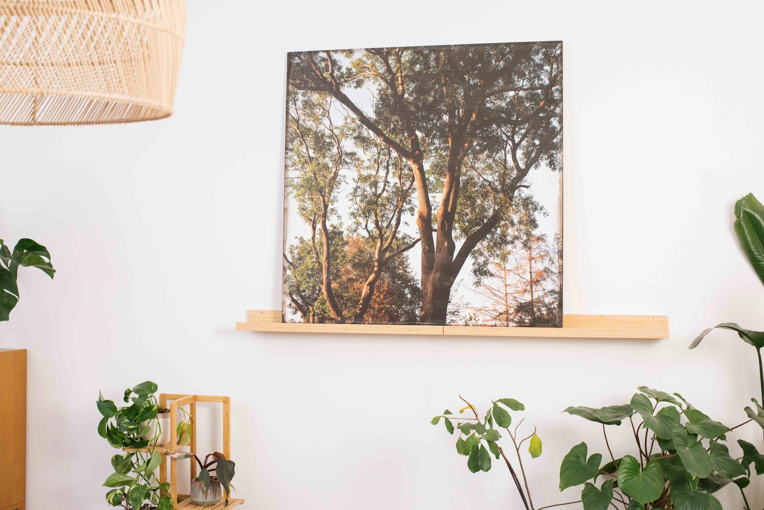 Trees - 100 x 100 cm on Wood