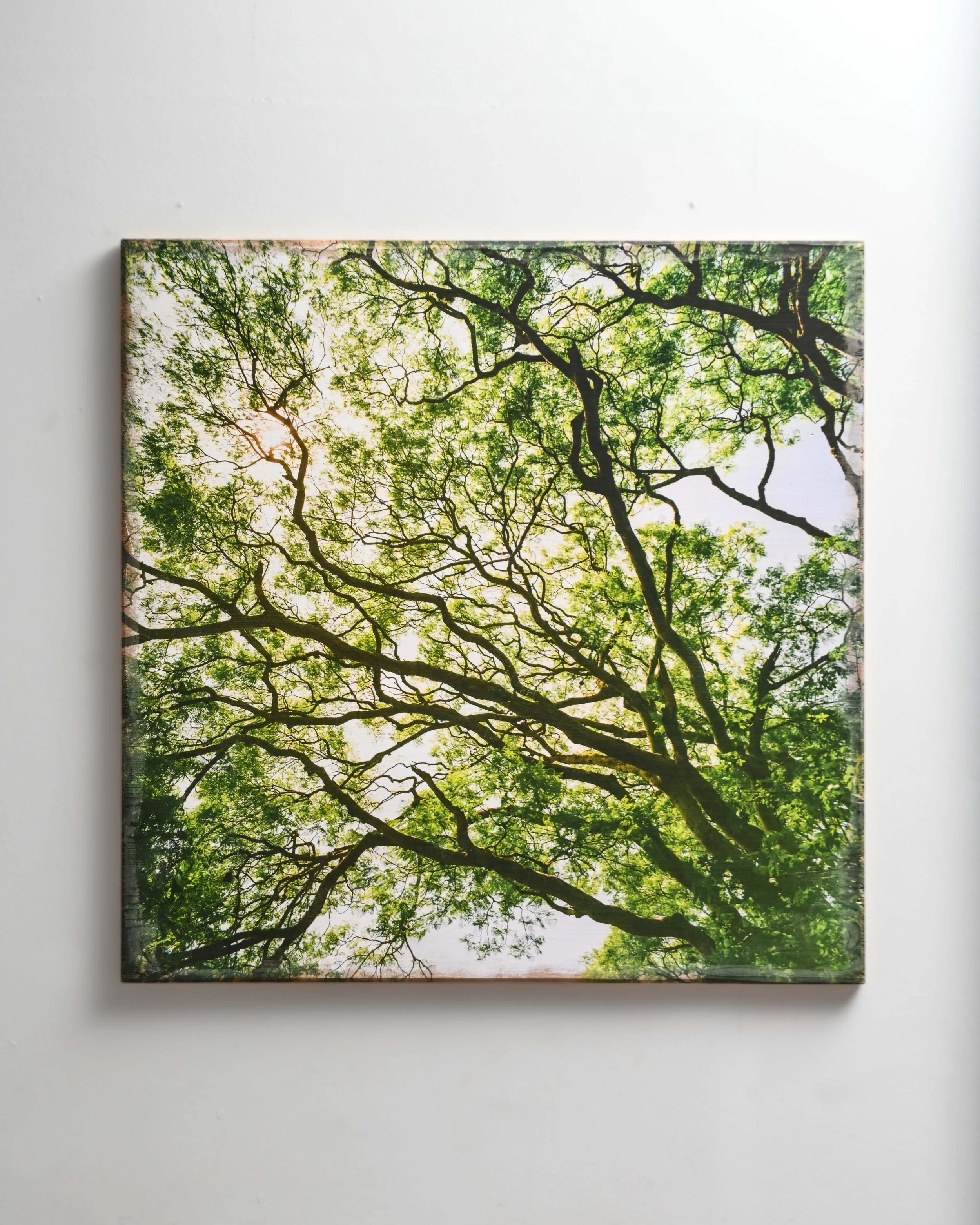 80x80-Caretaker-1.jpg