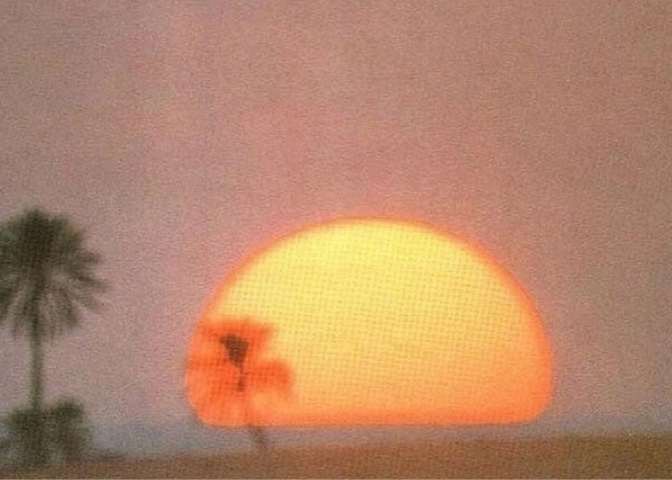 A sunset behind two palm trees with a pinkish sky.