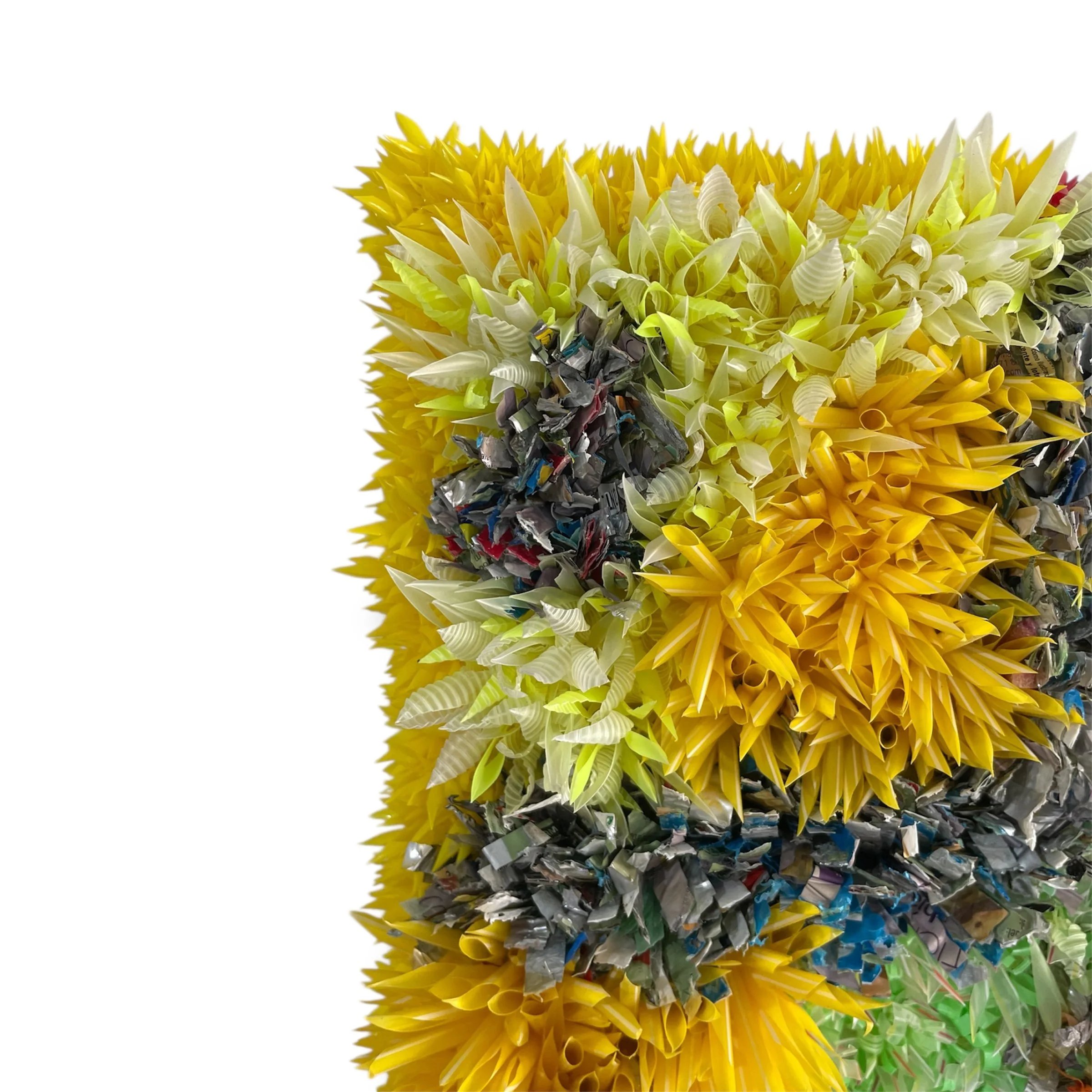 Photoroom_20260319_134013 (1).jpeg