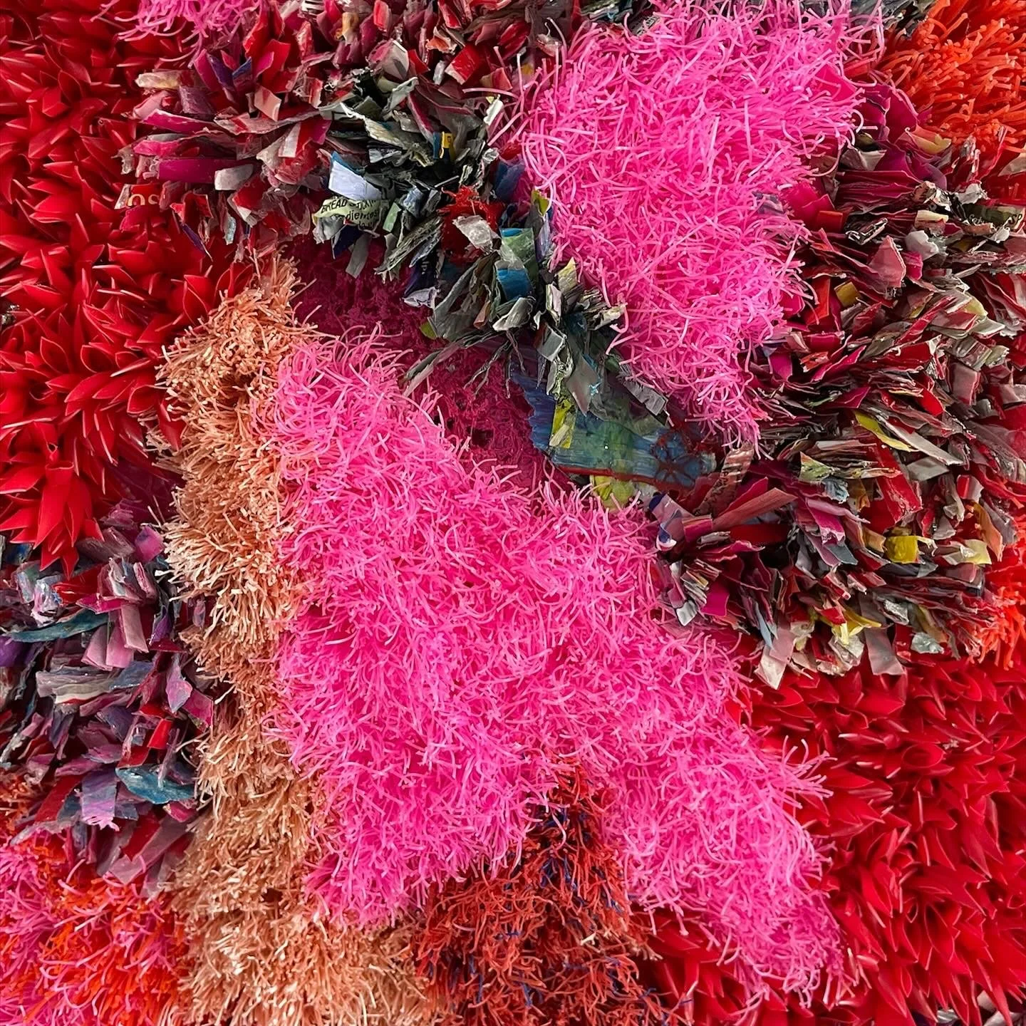 A3E529CC-41B1-40C9-BCEB-00305FDD543B (1).jpeg