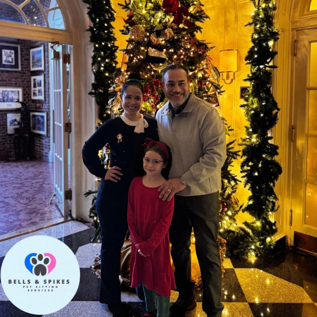 As 2025 comes to a close, my heart is FULL 🥹🐾
To every human who trusted us and every furry soul who wagged, purred, cuddled, played, and made our days brighter&mdash;THANK YOU 💙🩷
Bells &amp; Spikes isn&rsquo;t just pet care&hellip; it&rsquo;s lo