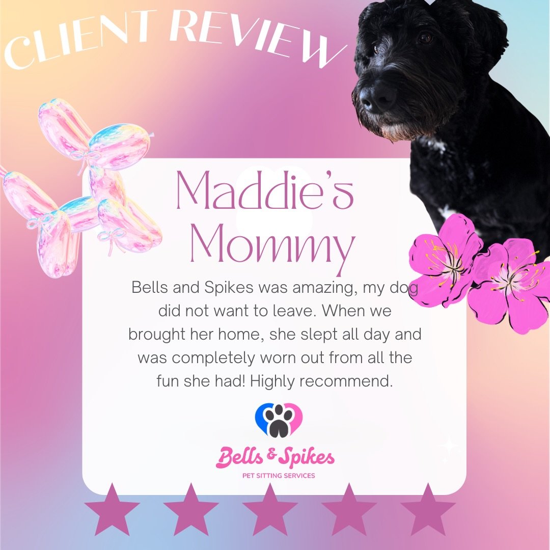 ⭐️⭐️⭐️⭐️⭐️ Warning: Post-Bells &amp; Spikes naps are intense 😏🐾
&ldquo;Maddie 🐶🩷🐾 was completely worn out from all the fun she had. Highly recommend!&rdquo;
We offer daily pet-sitting visits, walks, daycare, overnights, and homestyle boarding &m