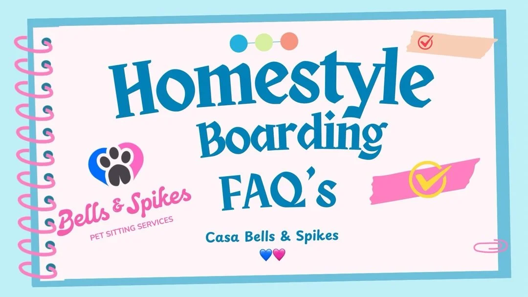 🏡🐾 Considering Homestyle Boarding at Casa Bells &amp; Spikes?
This post answers a lot of the questions we get&mdash;without turning it into a rulebook 😉
At Casa Bells &amp; Spikes, dogs don&rsquo;t &ldquo;stay&rdquo; here&hellip;they settle in.
Th