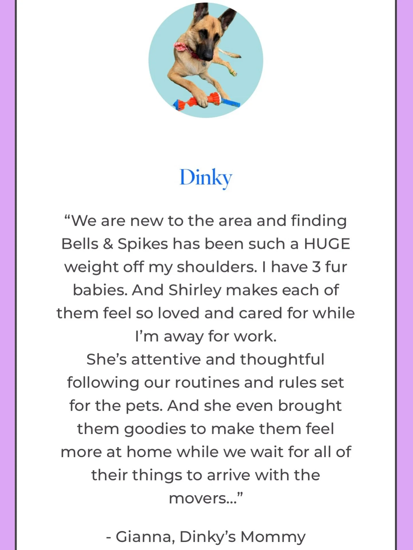 Yes, we talk to your pets.
Yes, we send updates.
Yes, we follow your rules.
Yes, we care A LOT 💜🐶
And yes&hellip; pets fall in love with us 😏 📲 Book today www.bellsandspikes.com