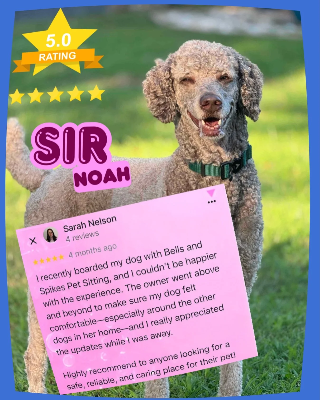 Sunny days, wagging tails, and royal vibes only 👑🐶
Sir Noah&rsquo;s mom gave five stars ⭐️⭐️⭐️⭐️⭐️
Book your pup&rsquo;s getaway &mdash; tail wags included! ☀️🐾