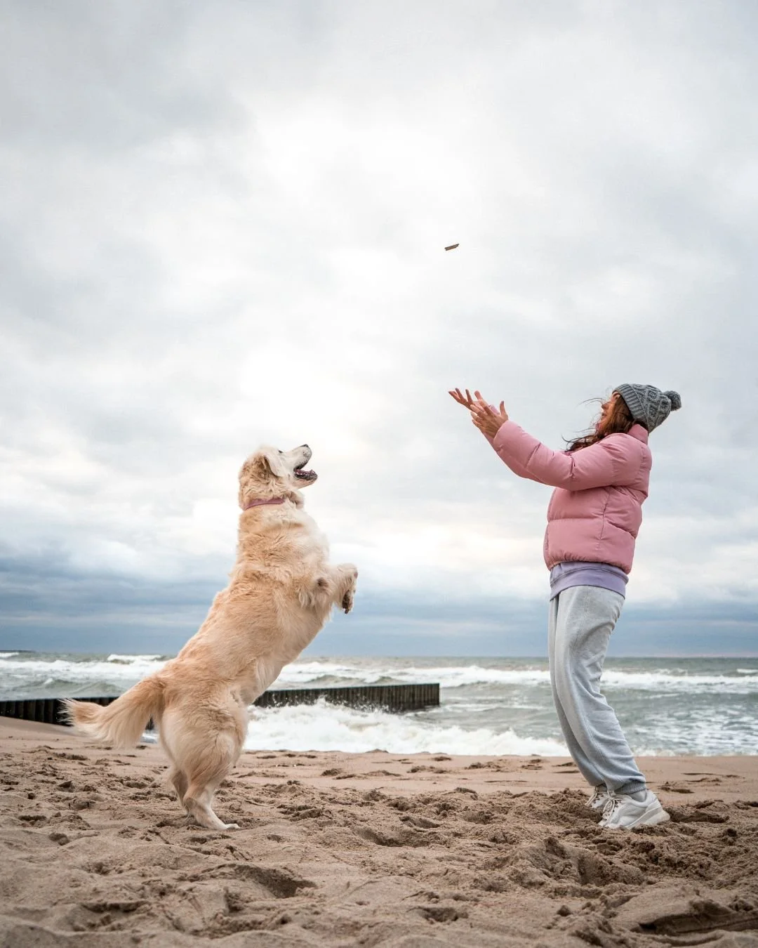 A woman in a pink jacket and gray sweatpants playing fetch with a golden retriever puppy on a sandy beach under a cloudy sky, with ocean waves in the background.