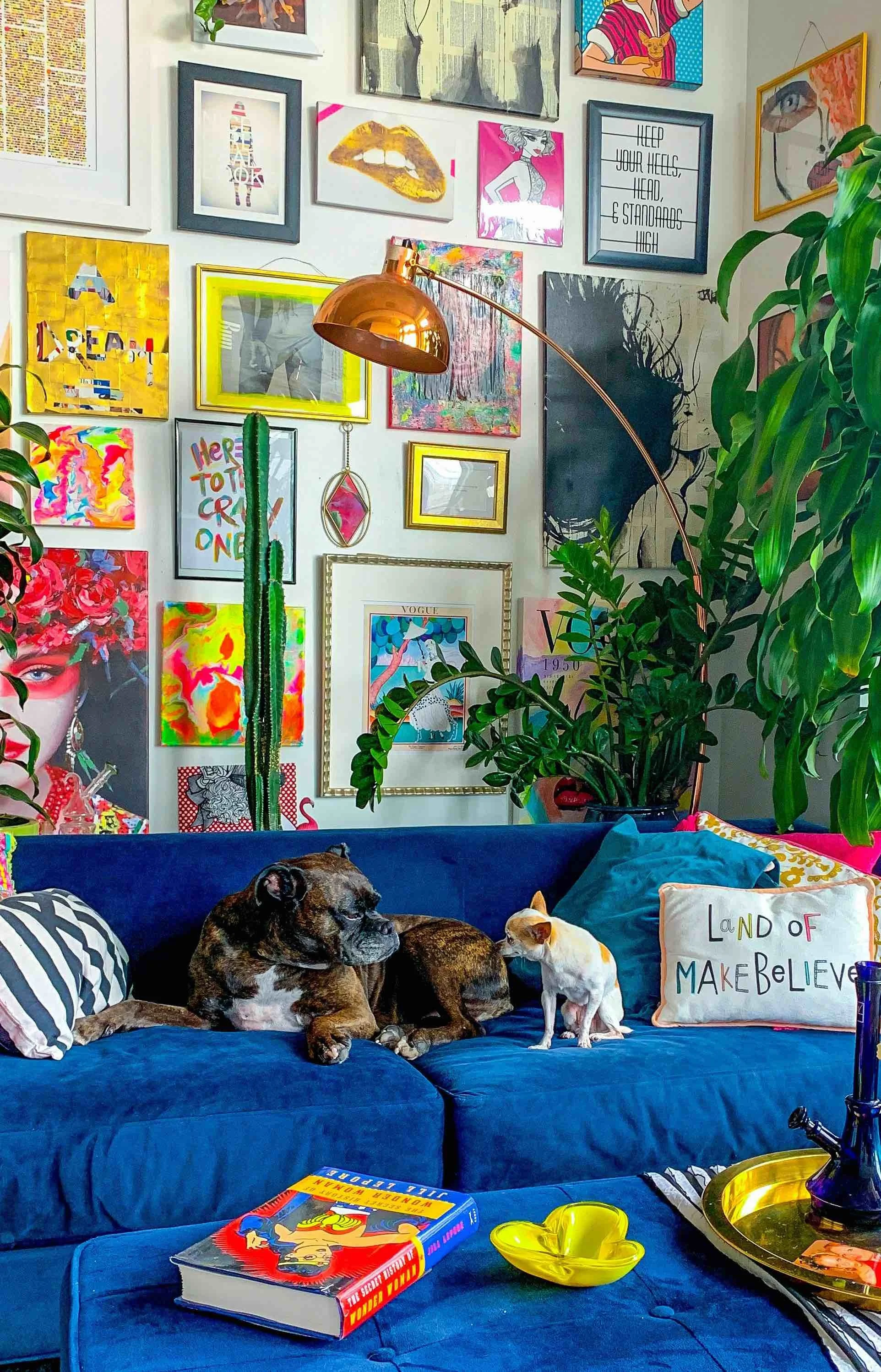 A colorful living room with a gallery wall of various framed art pieces, a large leafy plant, a tall cactus, a blue velvet sofa with pillows, and two dogs and a small cat sitting on the sofa.