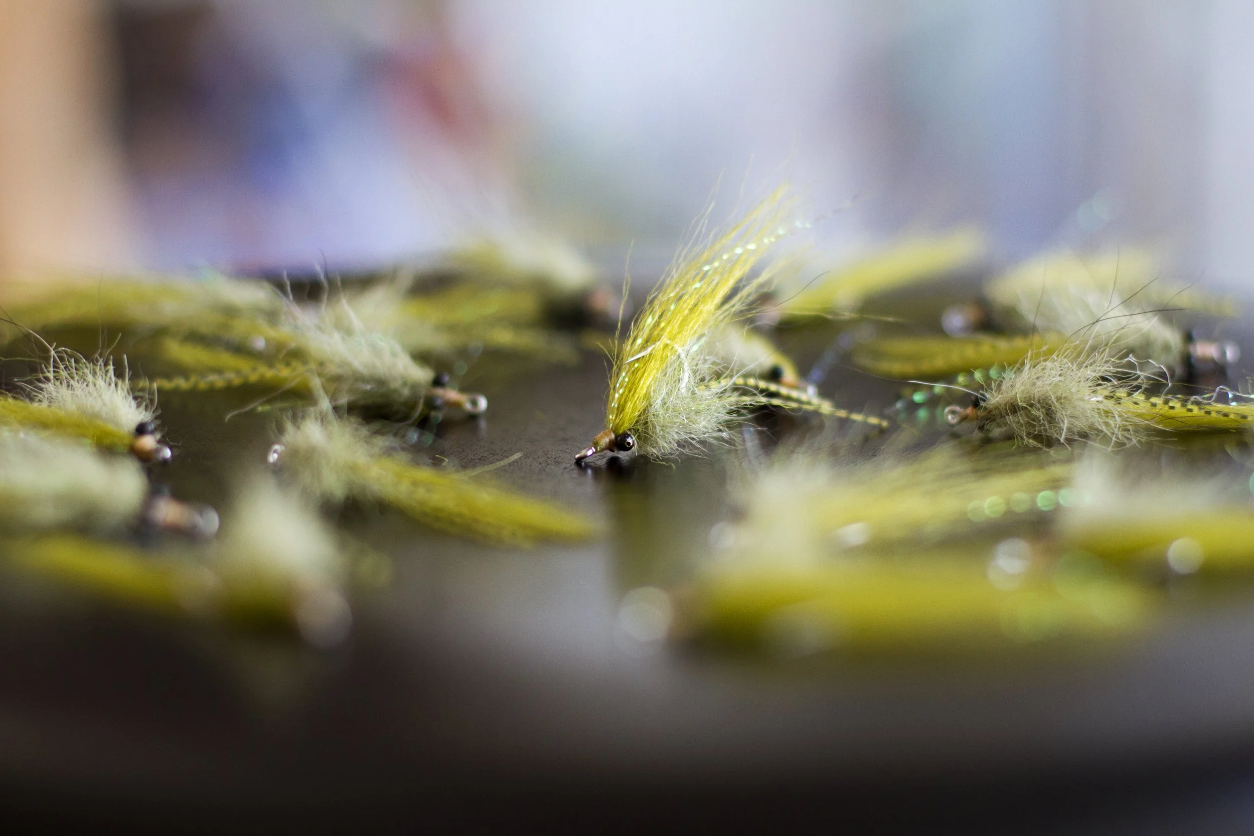 A History of Backwater's Micro Shrimp