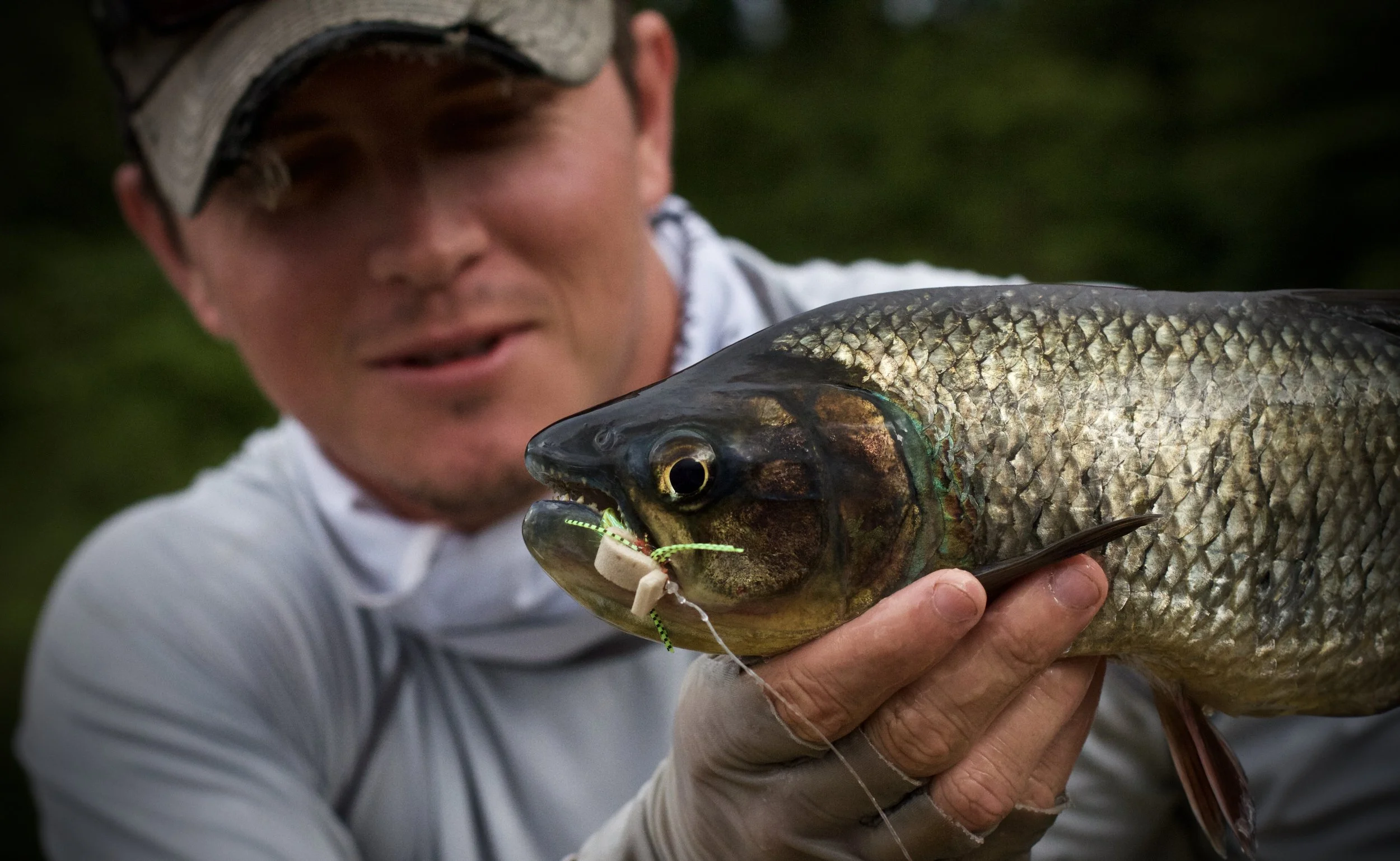 Fly Fishing Machaca In Costa Rica