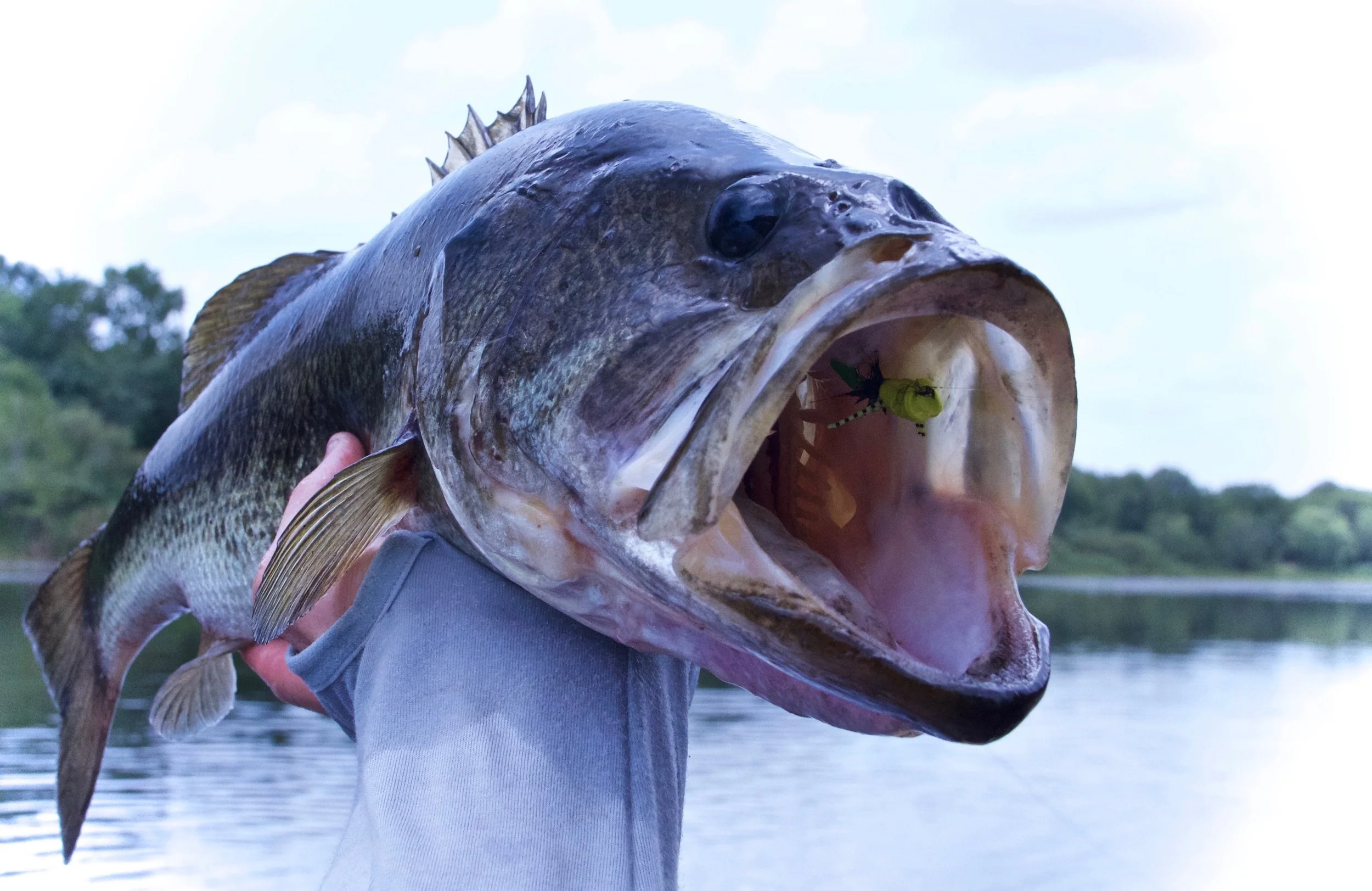 (New Video) THE COOCHEE: 3 Days On Florida's Wildest River