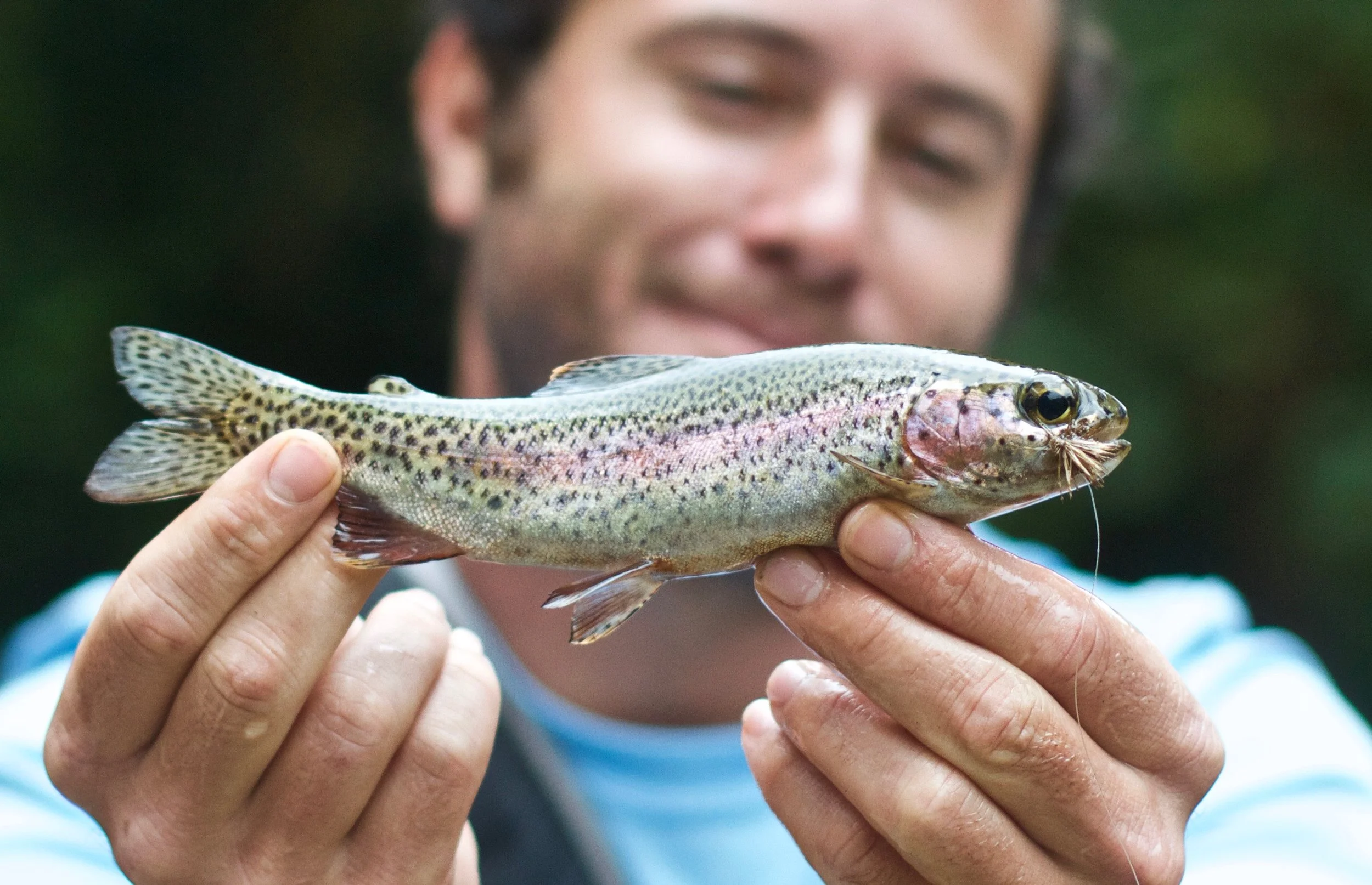 Fly Fishing For Trout In Costa Rica with 506 Outdoors