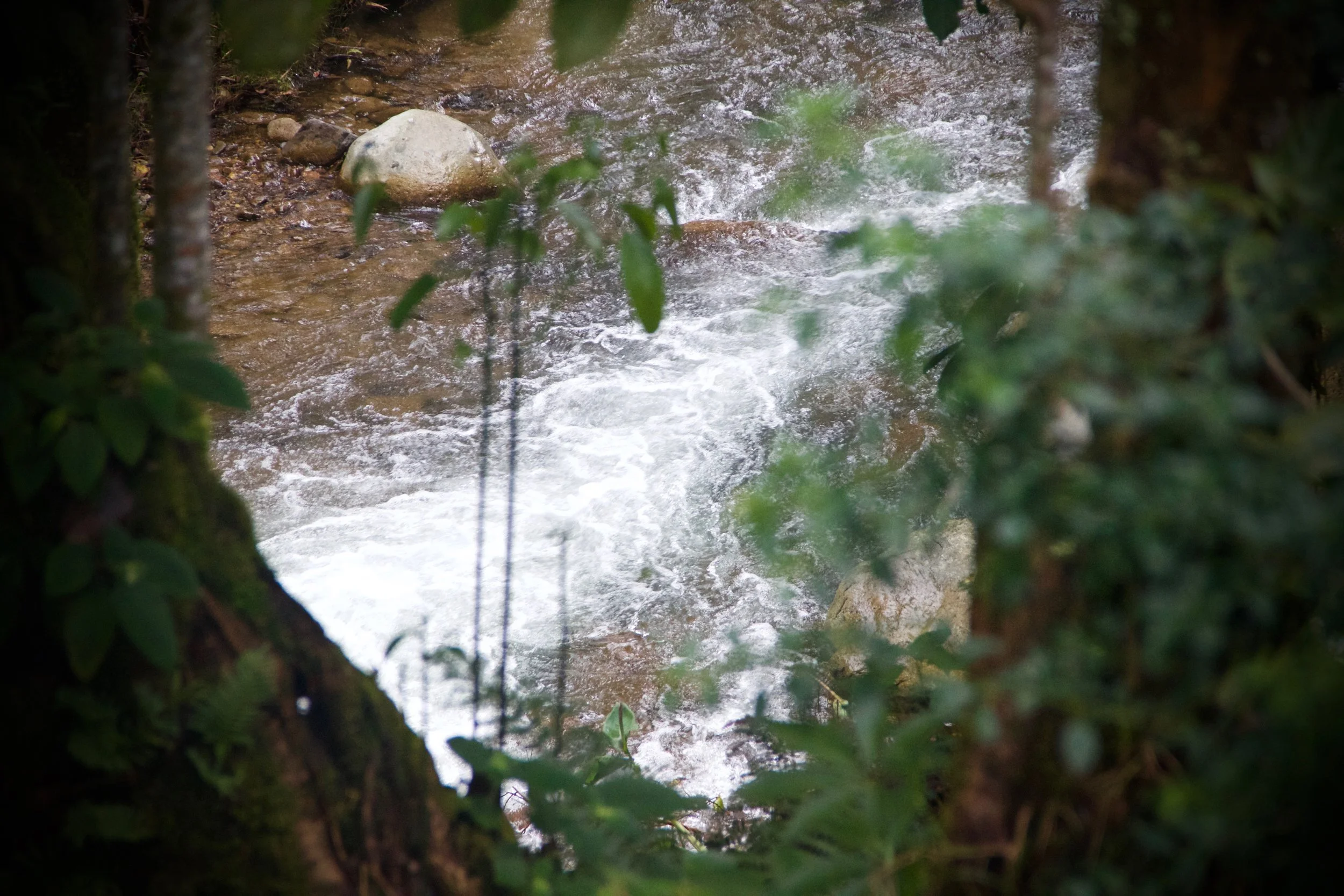 Trout Fishing Costa Rica Should Be On Your Bucket list!