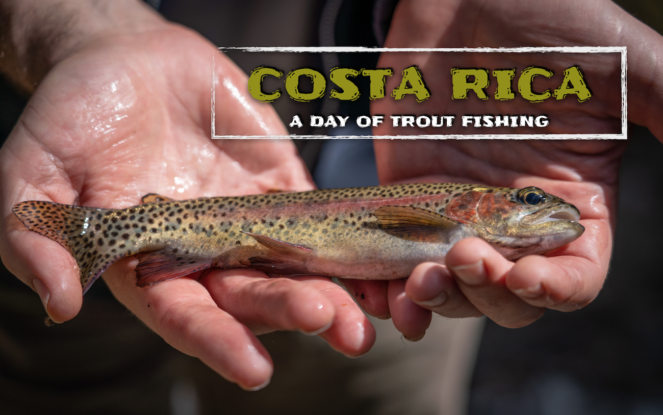 Trout Fishing Costa Rica: Palm Trees and Rainbows (VIDEO)
