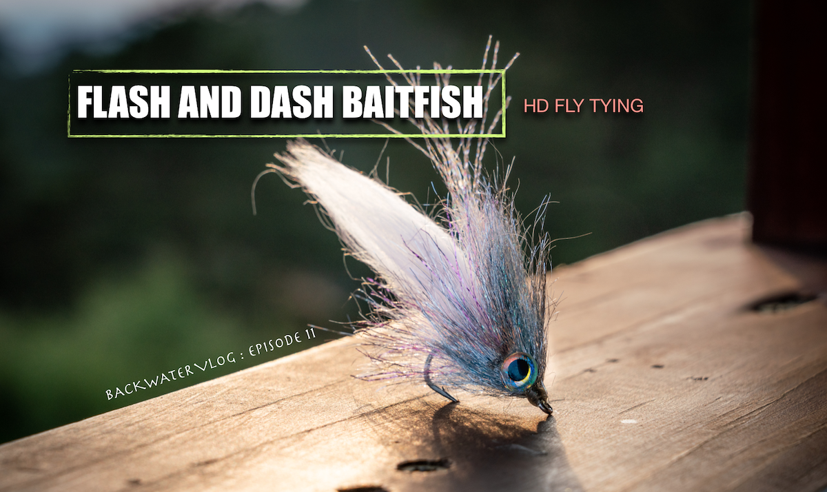 FLASH AND DASH BAITFISH FLY: Backwater Vlog Episode 11