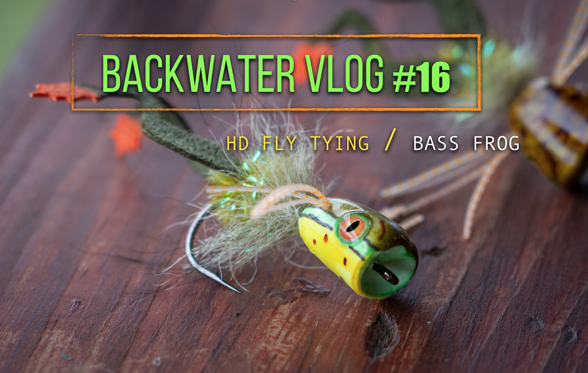 FROG POPPER FLY FOR BASS :BACKWATER VLOG #16