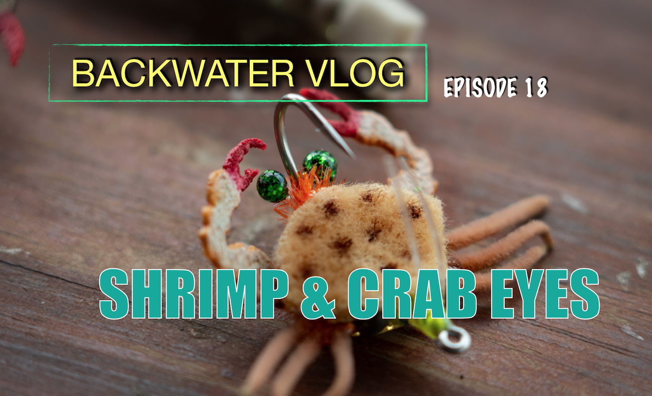 Making The Best Shrimp and Crab Eyes: Backwater Vlog 18