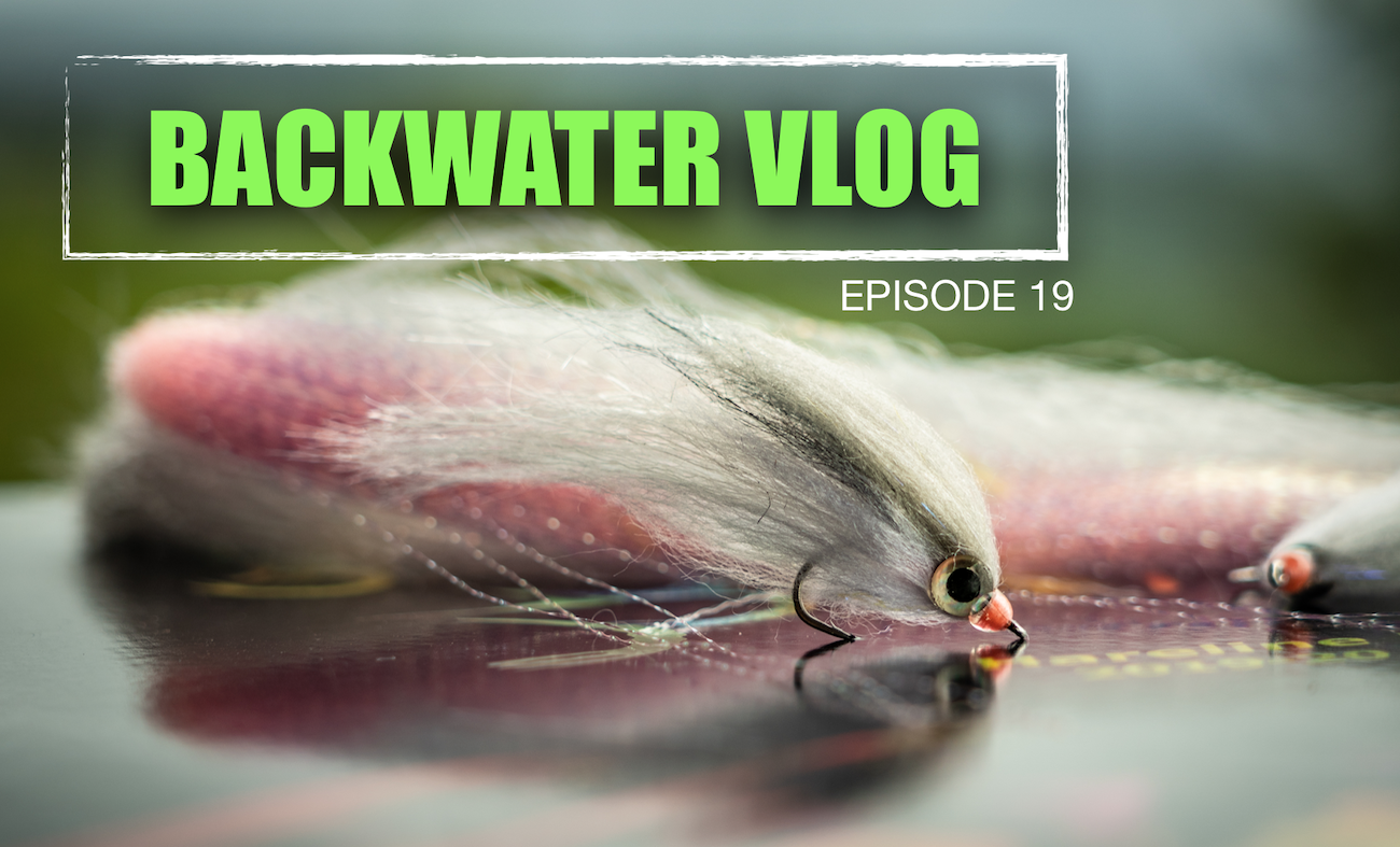 MINI CRAFT FUR MULLET BAITFISH: BACKWATER VLOG #19
