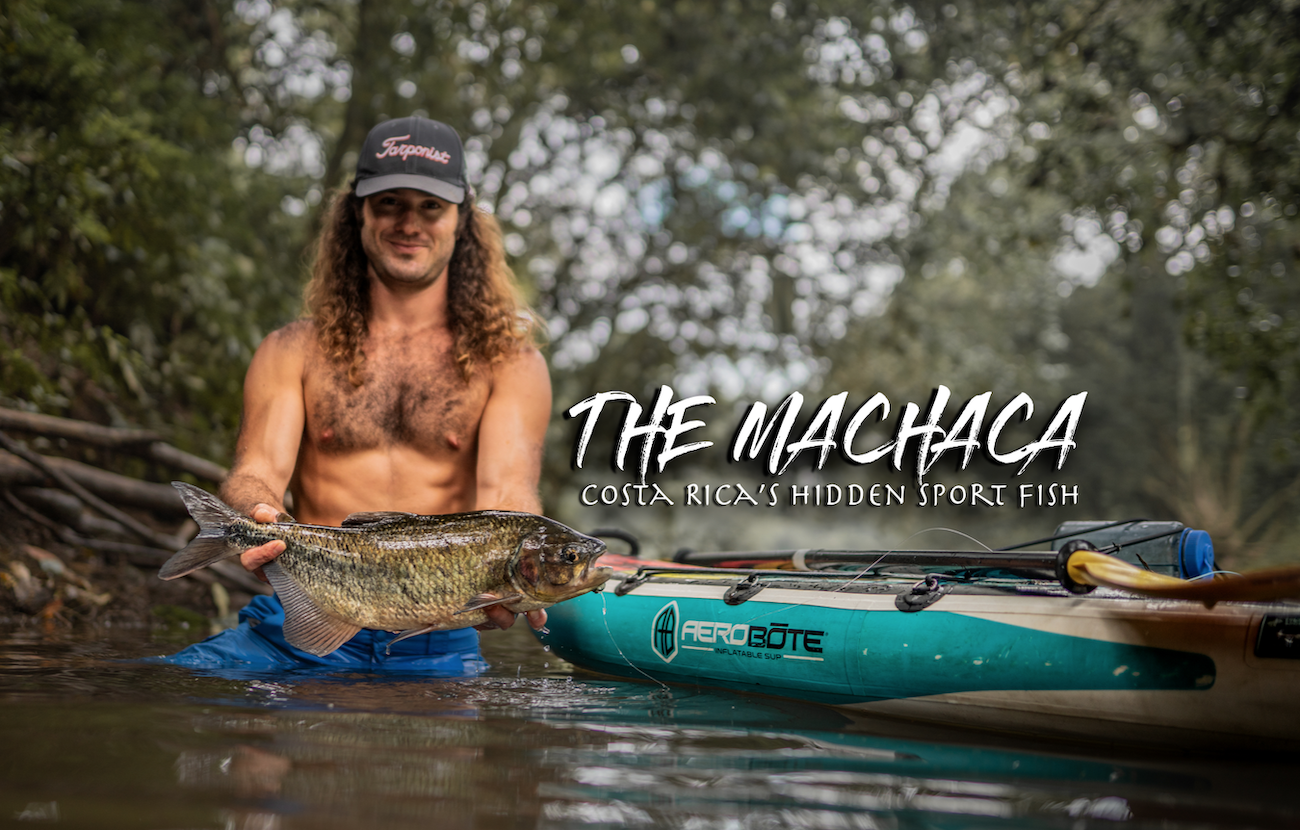 THE MACHACA: Costa Rica's Hidden Sport Fish (NEW VIDEO)
