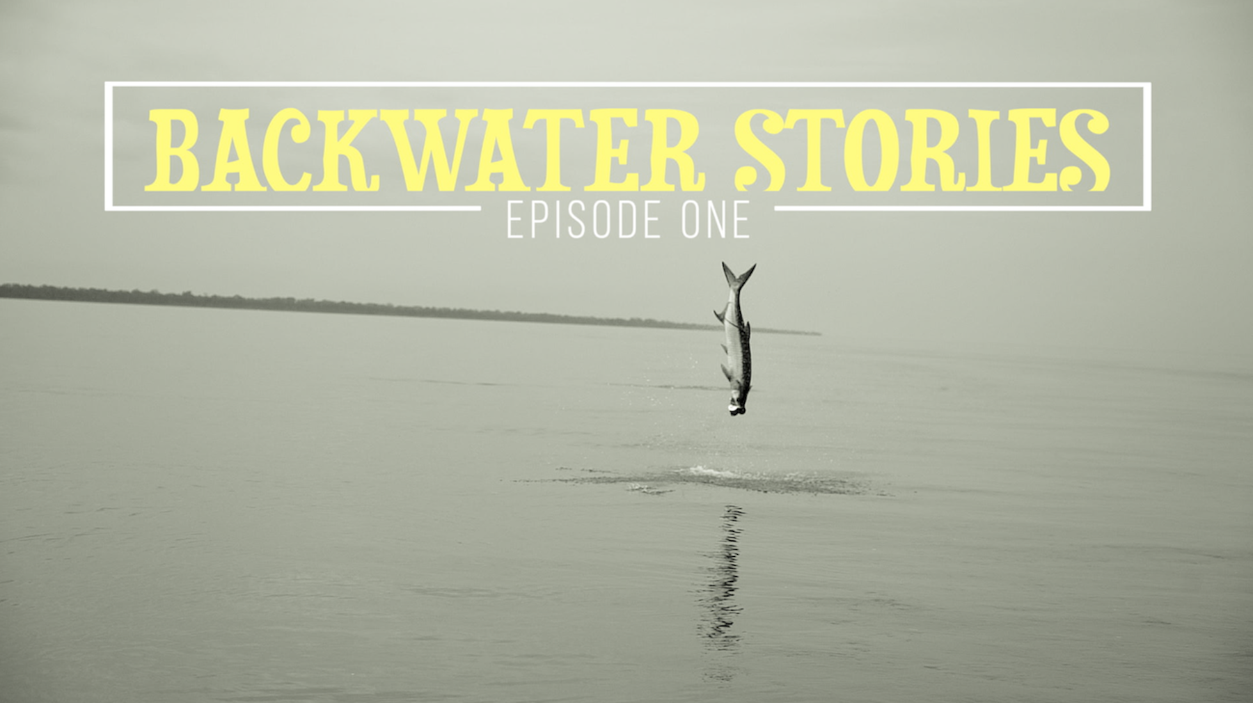 BACKWATER STORIES EP1