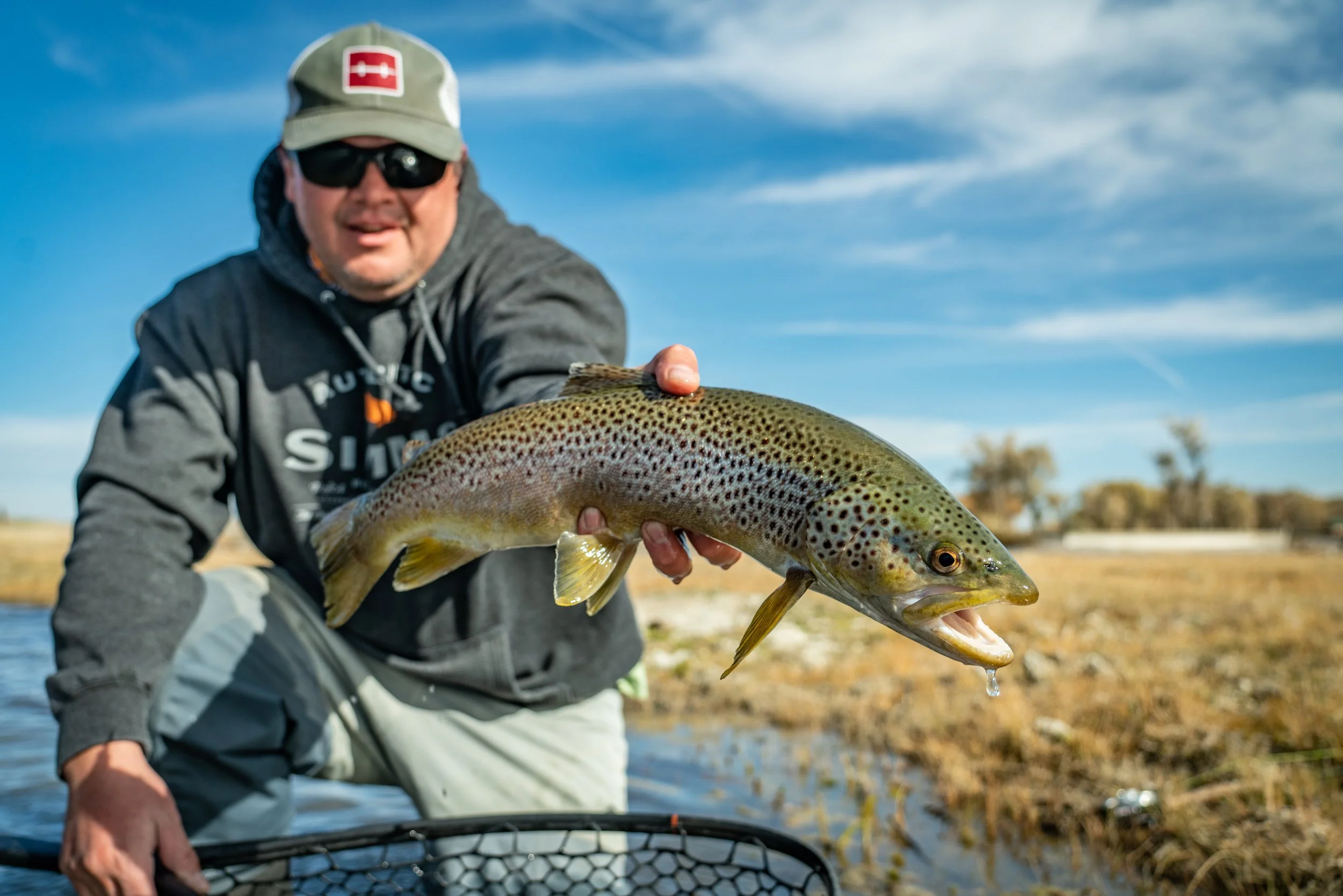 brown-day-8.jpg