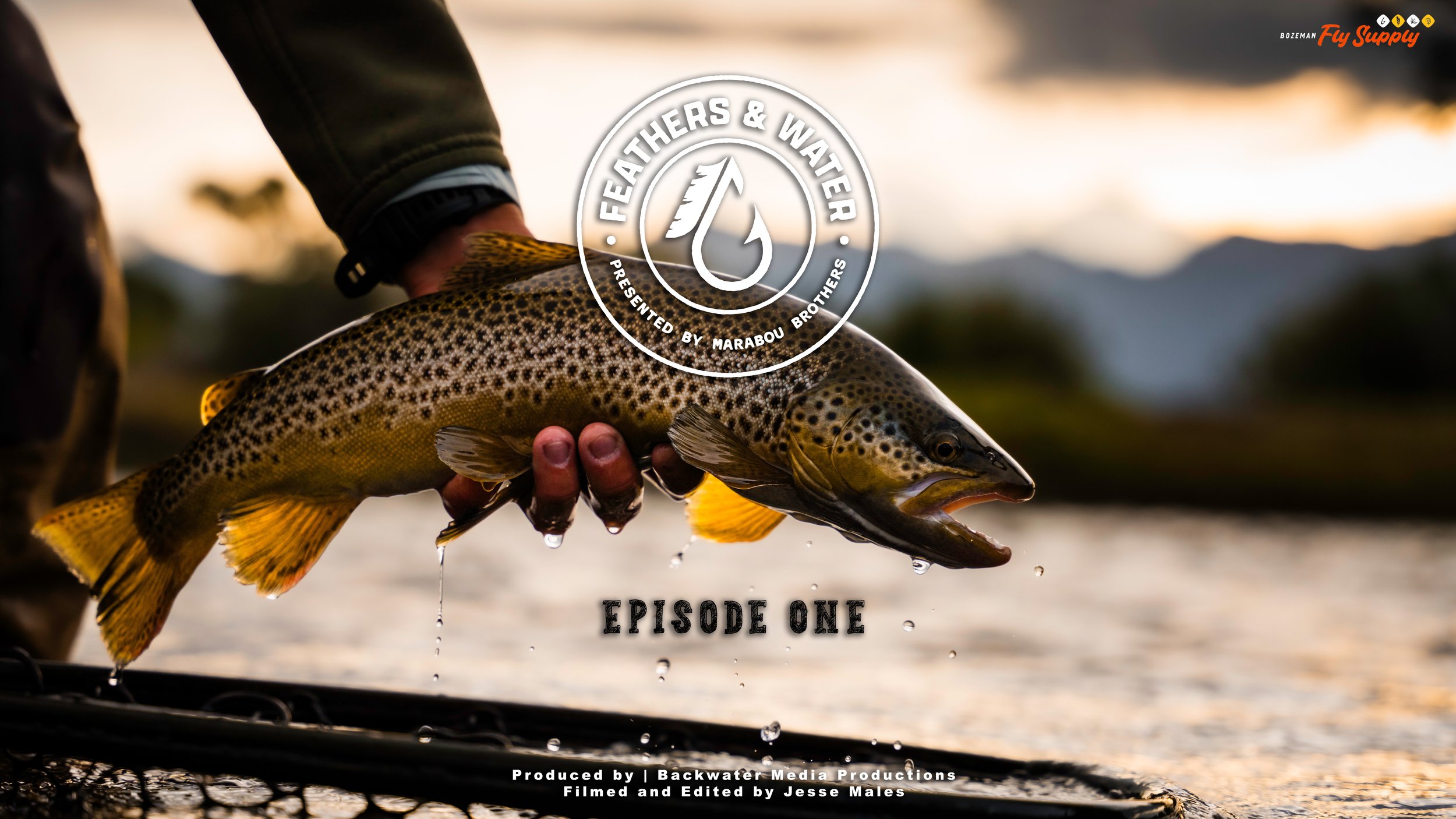 Feathers and Water Film Series - EPISODE ONE