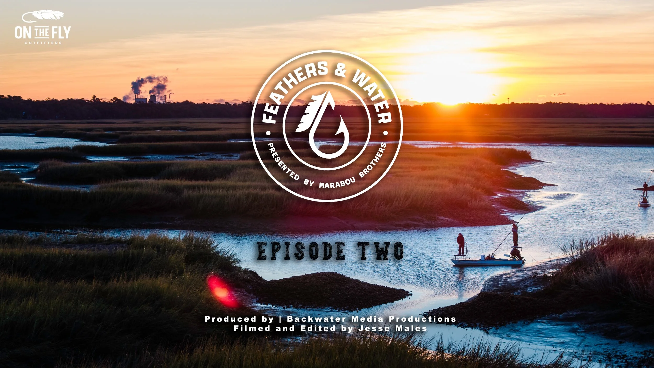 Feathers and Water Film Series - EPISODE TWO