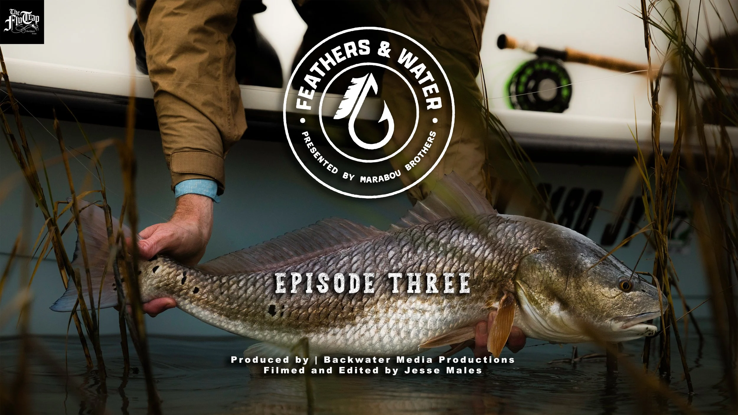 Feathers and Water Film Series - EPISODE THREE