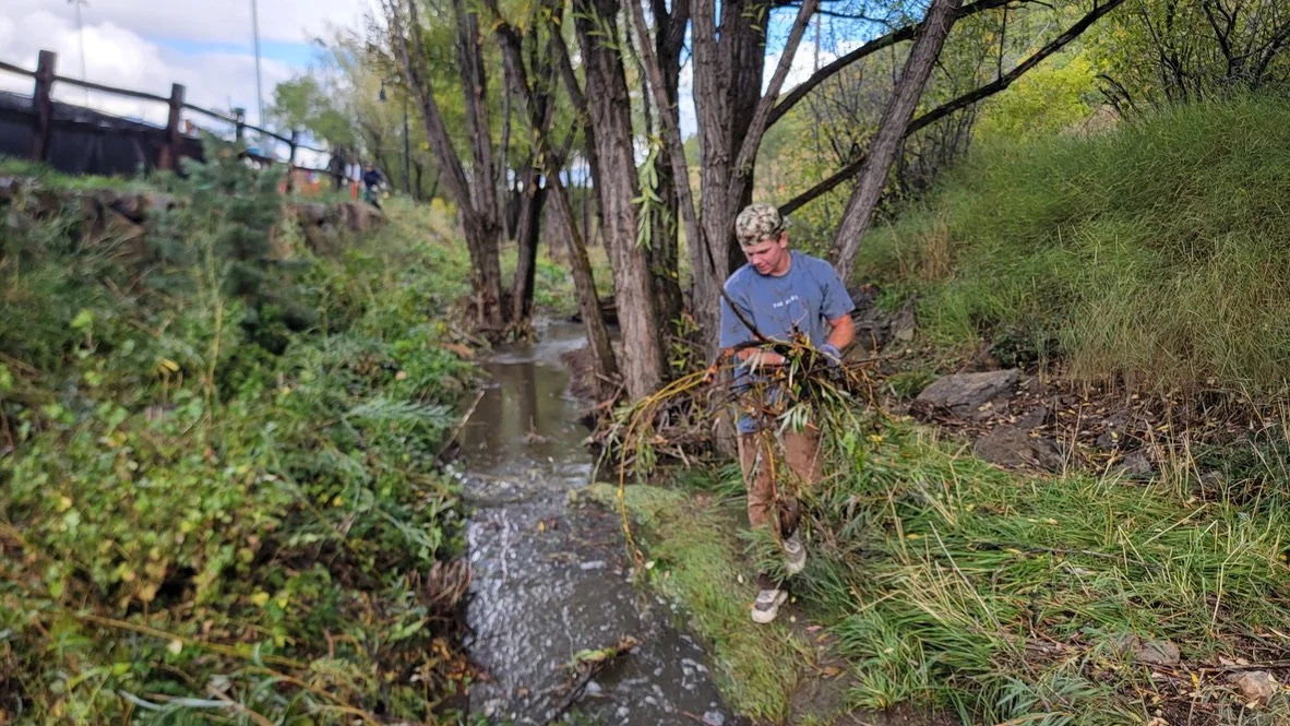 21 Coen Nelson Creek Cleanup.jpg