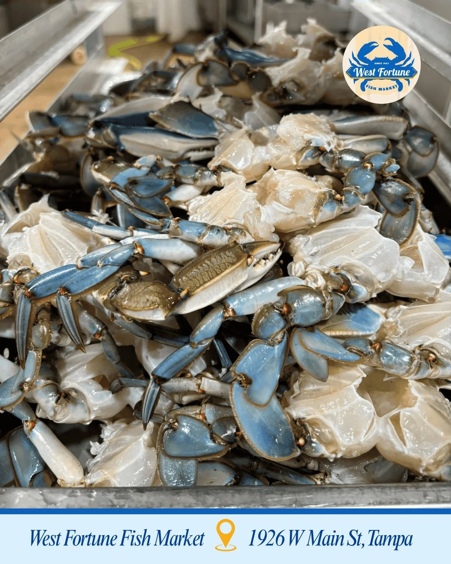 🚨 CRAB DEAL ALERT 🚨🦀🔥
Buy 1 dozen small cooked crabs for $42 and get a HALF DOZEN FREE 

🦀🔥TODAY ONLY so come load up before they&rsquo;re gone!
