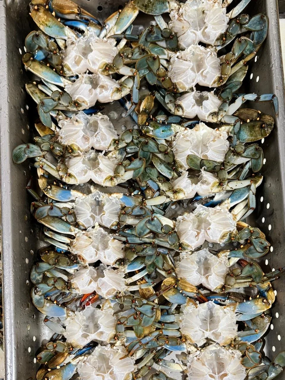 🦀 🚨 Tampa crab lovers, it's time to load up on BOGO crabs!

Buy 1 dozen small crabs (live or cooked) and get 1 dozen FREE.

Only available while supplies last. Swing by before they're gone!
#tampabluecrabs #tampaseafood
