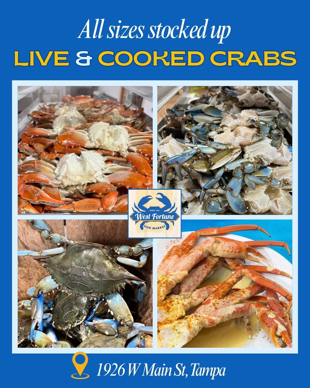🦀 Tampa, we&rsquo;re stocked up! We've got fresh, local crabs in all sizes, available live or cooked to your liking.

Start planning that weekend crab dinner now! We&rsquo;re open late until 8PM tonight&ndash;Saturday, so swing by &amp; stock up!

#