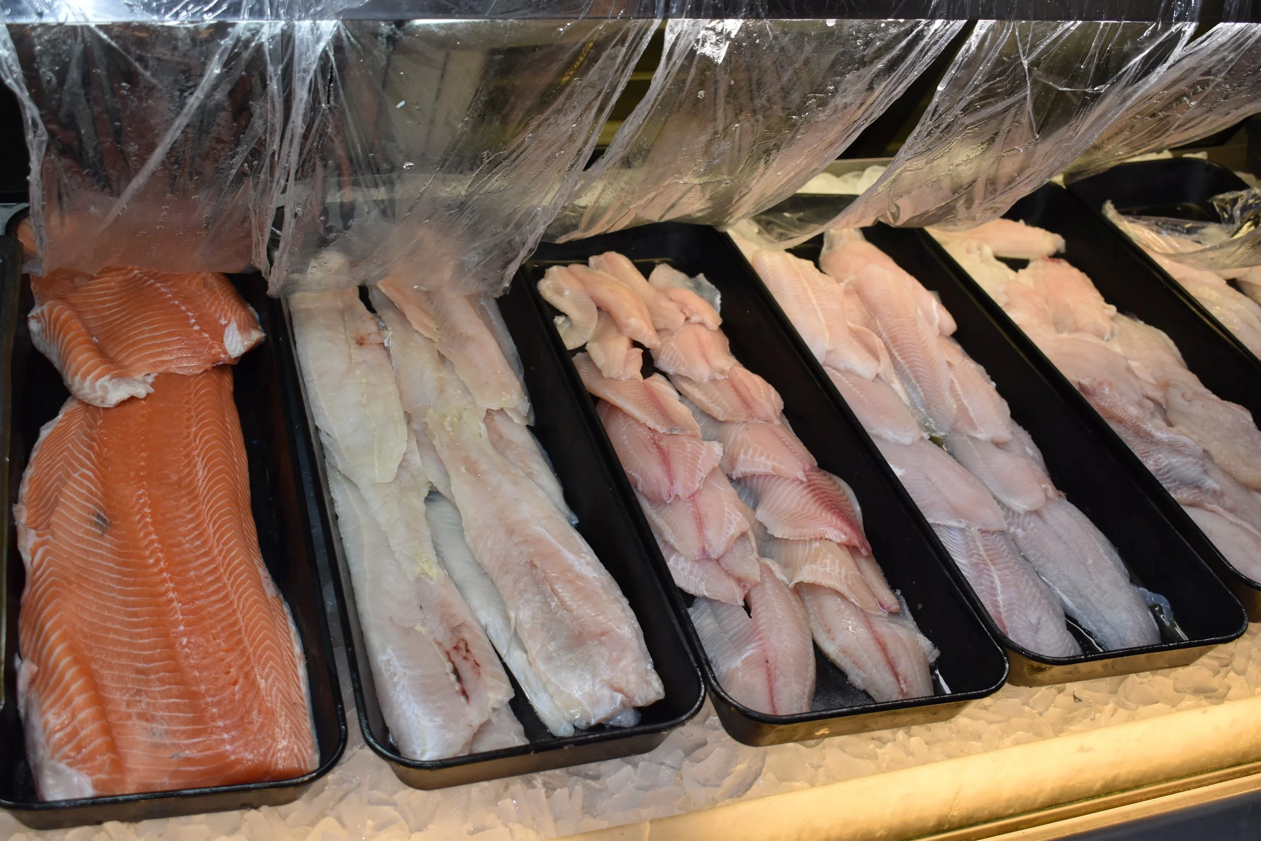 Fresh Fish Filets over ice at West Fortune Fish Market
