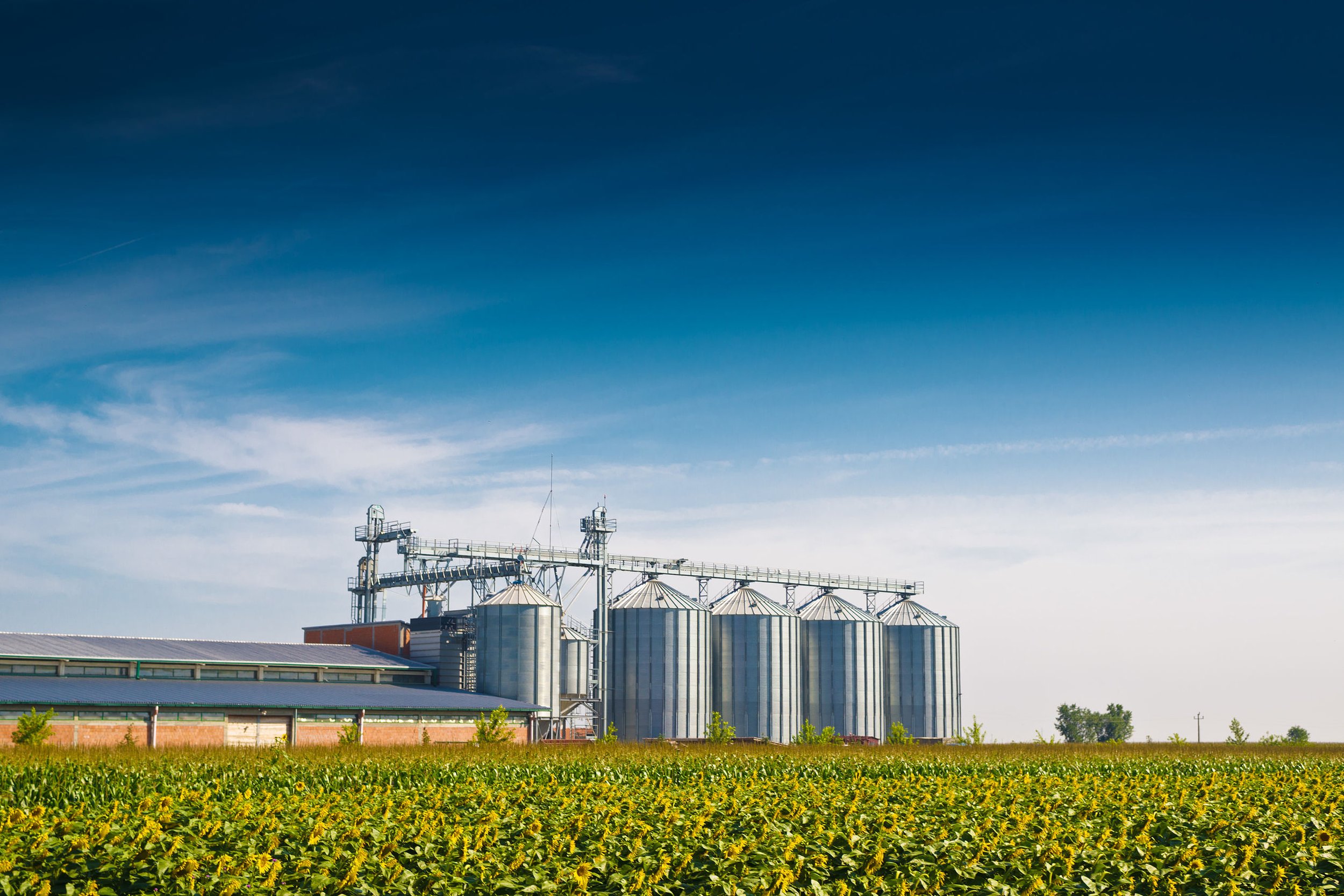 An agricultural farm with a crop field in the foreground, silos and industrial buildings in the background, under a blue sky with scattered clouds.