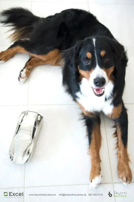 Why the Speed Limit Change Matters