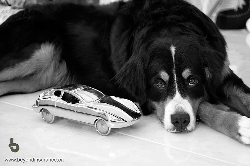 Car Theft and Your Insurance