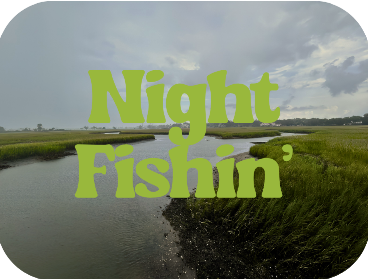 Night Fishing | Mt. P Pier
