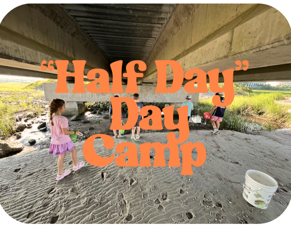 "Half Day" Day Camp | Mt. P Pier