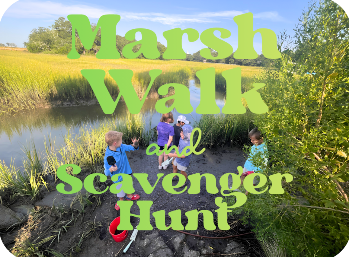 Ecology Marsh Walk