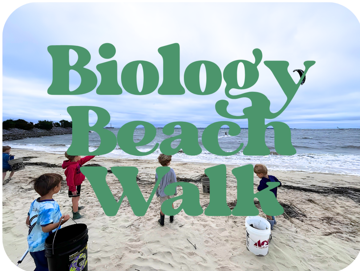 Biology Beach Walk