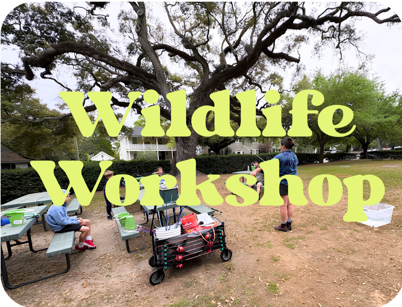 Wildlife Workshop