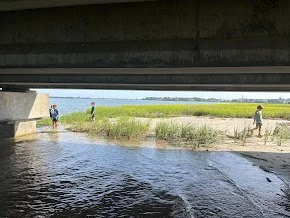 IMG_3727.jpg
