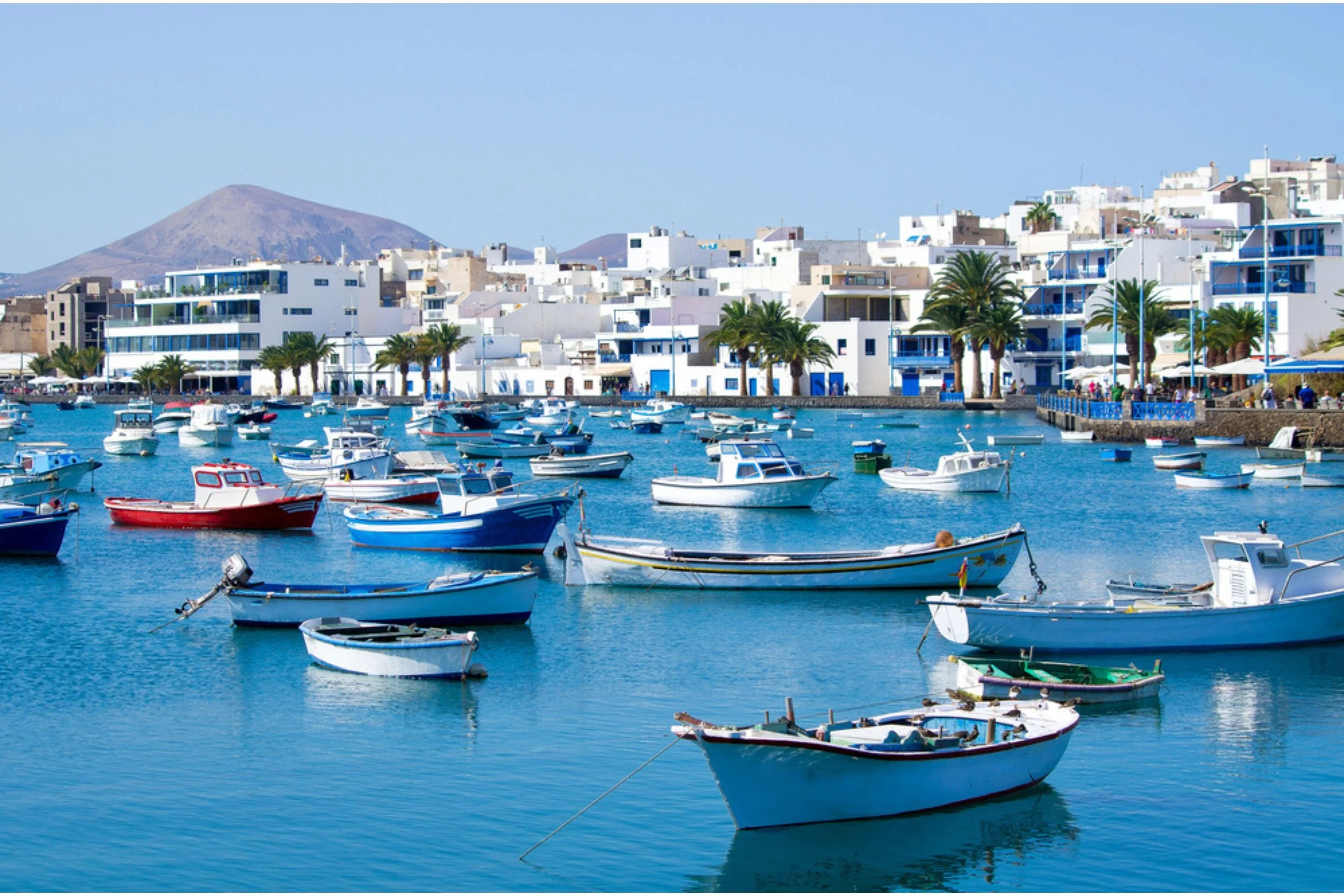 A harbor filled with small boats anchored in calm blue water, with white buildings and palm trees along the shoreline, and mountains in the background.
